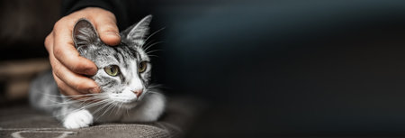 man and cat in sofaの写真素材