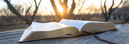 Bible on wooden table in nature
