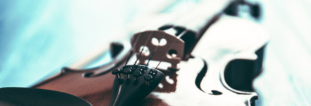 violin on the black wooden table
