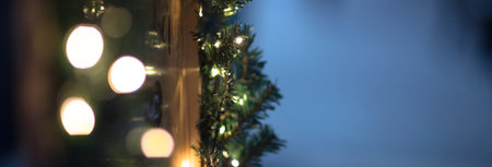 Christmas tree branches with lights background