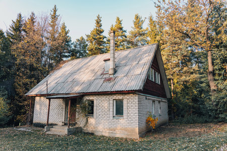 Old stone hut in the forest during the dayの写真素材