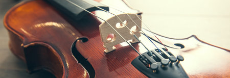 Close up on the violin musical instrumentの写真素材