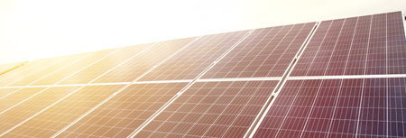 Solar panels in the field at sunset