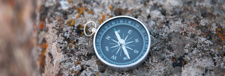 compass on a wild stone covered with green moss