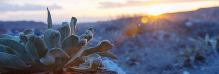 Pile of dry leaves.の写真素材