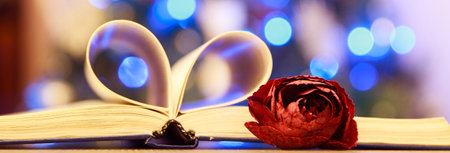 Book page decorated to a heart shape with a red roseの写真素材
