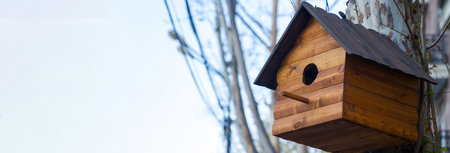 Birdhouse on birch tree.の写真素材