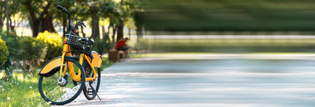 Bicycle rental in the park during the day