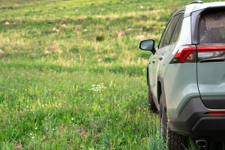SUV car in green area, travel concept