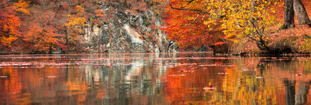 Beautiful autumn forest with yellow-red colors next to the lake, reflected in the waterの写真素材