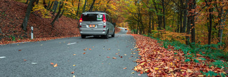 The car on the road lined with autumn treesの写真素材