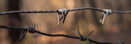 Close-up of Iron Thorns in the forestの写真素材