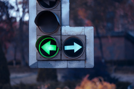 Traffic light showing the way