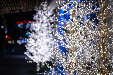 White Christmas tree lights, bokehの写真素材