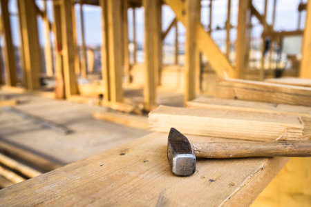 Sustainable Living: Constructing Eco-Friendly Wooden Homes of the Future