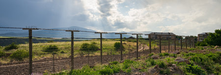 Fence, demarcation, Green nature in spring,
