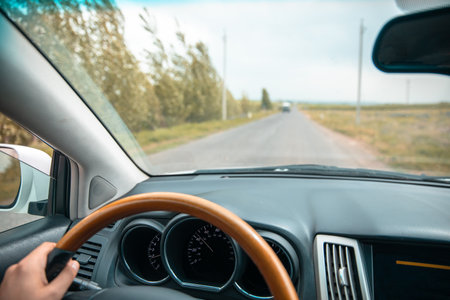 Driver on the Road: Driving in Motion