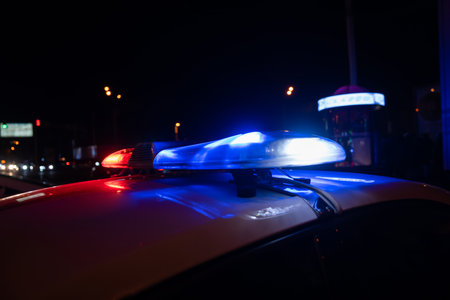 Police Car Lights at Night