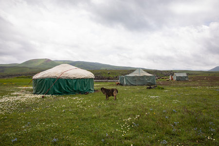 Nomadic People in Foothill Regions