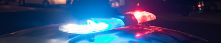 Police Car Lights at Nightの写真素材