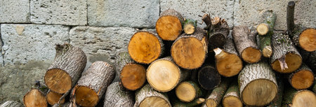 Winter Firewood from Forest Logging Activity