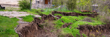 Landslides Reveal Tree Roots in Nature