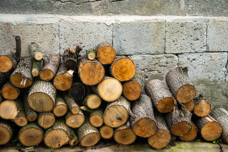 Winter Firewood from Forest Logging Activityの写真素材