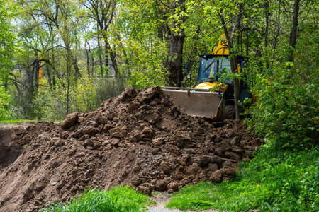 Construction Work Progressing Deep in Forest