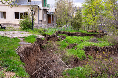 Landslides Reveal Tree Roots in Natureの写真素材