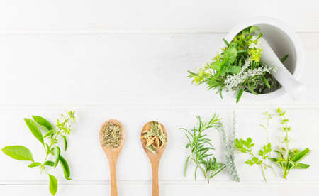 Medicinal Herbs on white background. Top view. Copy Space. Herb and Spices for cooking on white wooden background.の写真素材