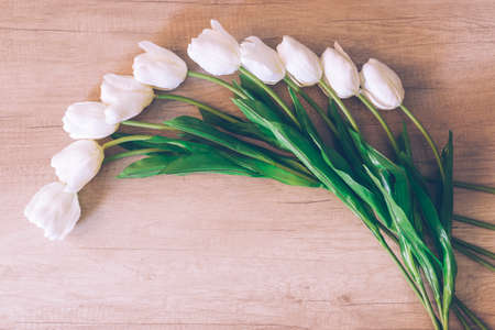 Beautiful tulips on white wooden background. Flat lay, top view, copy space. Table, petals. Close-up. Sunset lightの写真素材