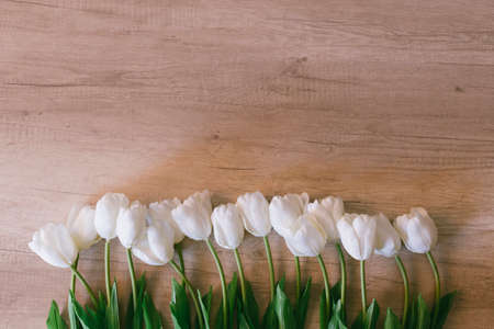 Beautiful tulips on white wooden background. Flat lay, top view, copy space. Table, petals. Close-up. Sunset lightの写真素材