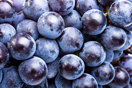 Grapesの写真素材