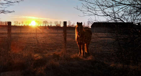 morning sunの写真素材