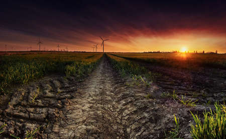 Road into the horizonの写真素材