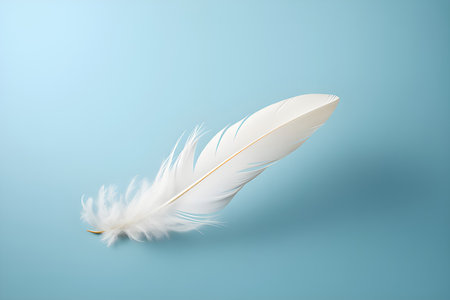 White isolated bird feather on blue backgroundの素材