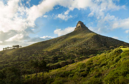 Lion's Head, a part of the Table Mountain range, visible from Camp's Bay Drive, in Cape Town, South Africa.の写真素材