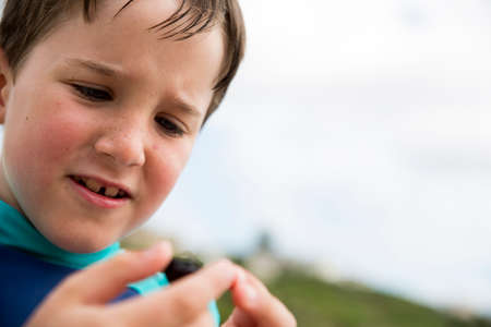 Little dung beetle found at beach by young boyの写真素材