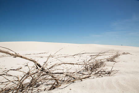 Arid Beach landscape in South Africaの写真素材