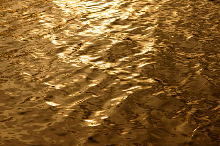 Golden water Background の写真素材
