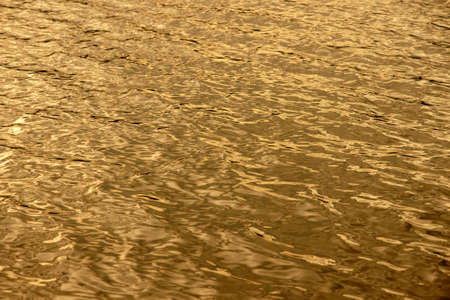 Golden water Background の写真素材