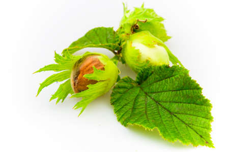 Hazelnuts