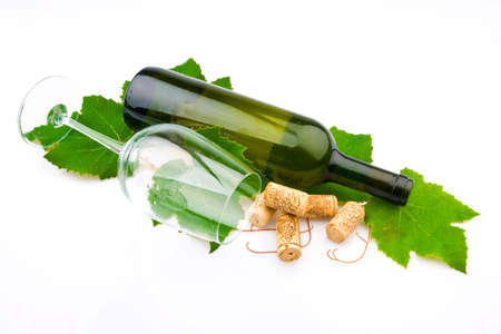 Bottle of wine on the vine の写真素材