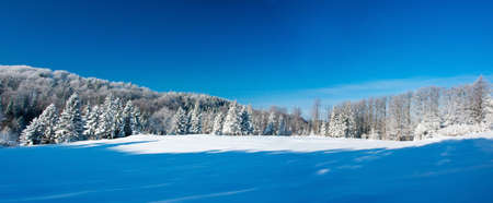 Winter panorama  の写真素材