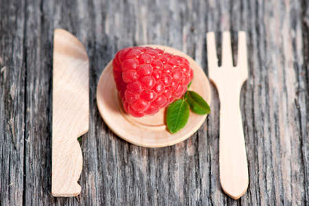 Diet Meal  の写真素材