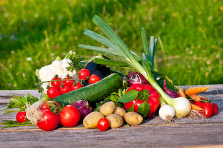 Fresh vegetables  の写真素材