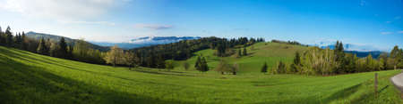 Green field