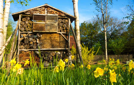 Wooden insect house bug hotelの写真素材