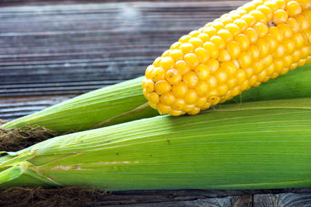 Fresh sweet corn on wooden background