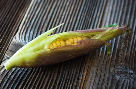 Fresh sweet corn on wooden background
